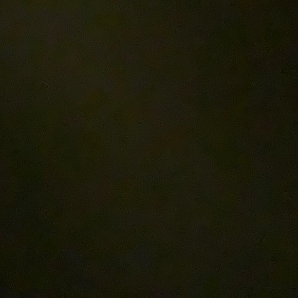 21_rae